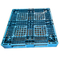 SGS συνήθειας Nestable πλαστική παλέτα τέσσερα πλαστικά Forklift τρόπων κλουβιά